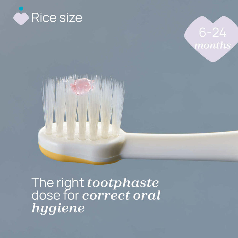 Chicco Combo Toothbrushes 6‑36M Lilac & Mustard