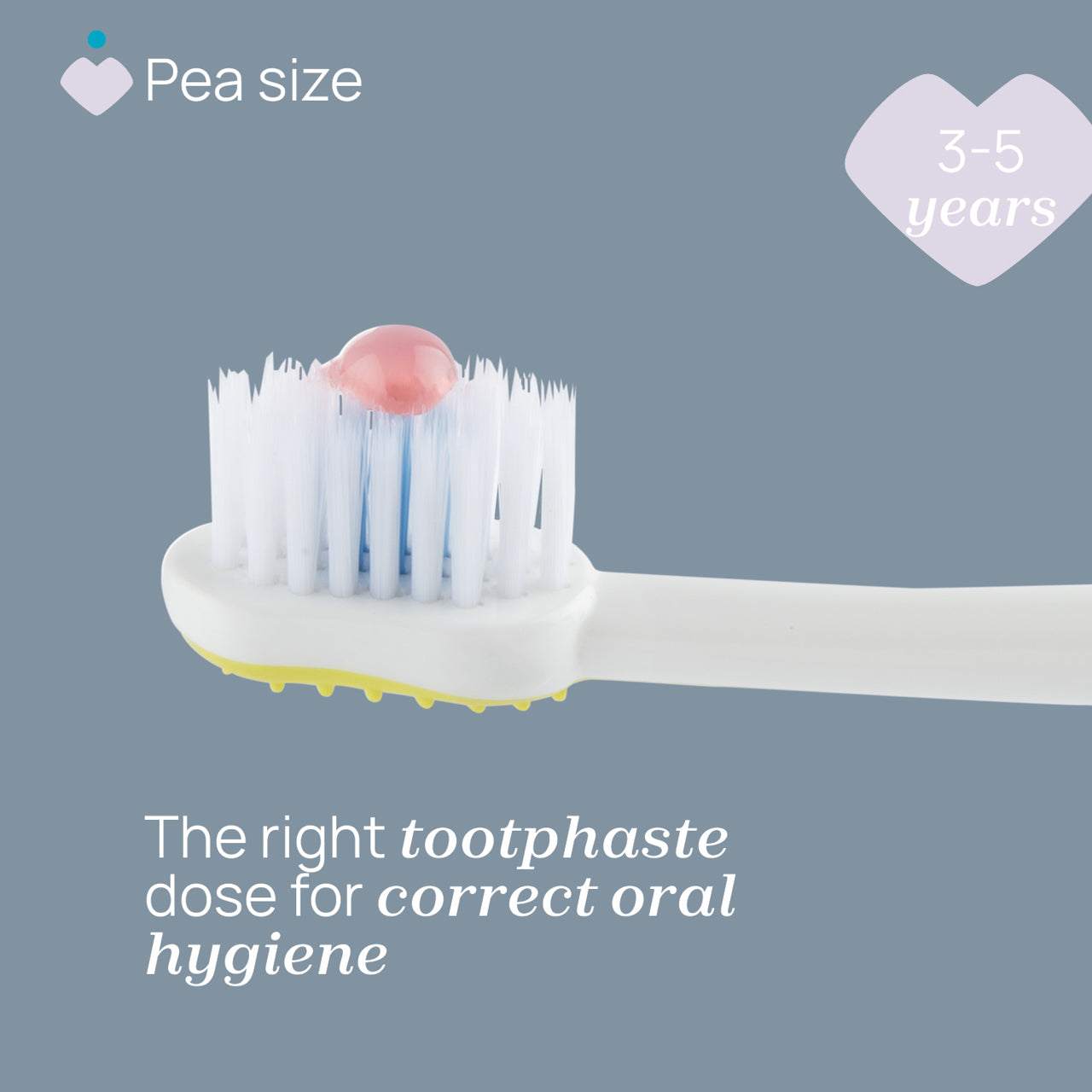 Chicco Combo Toothbrushes 3-6 Y Hippo & Panda