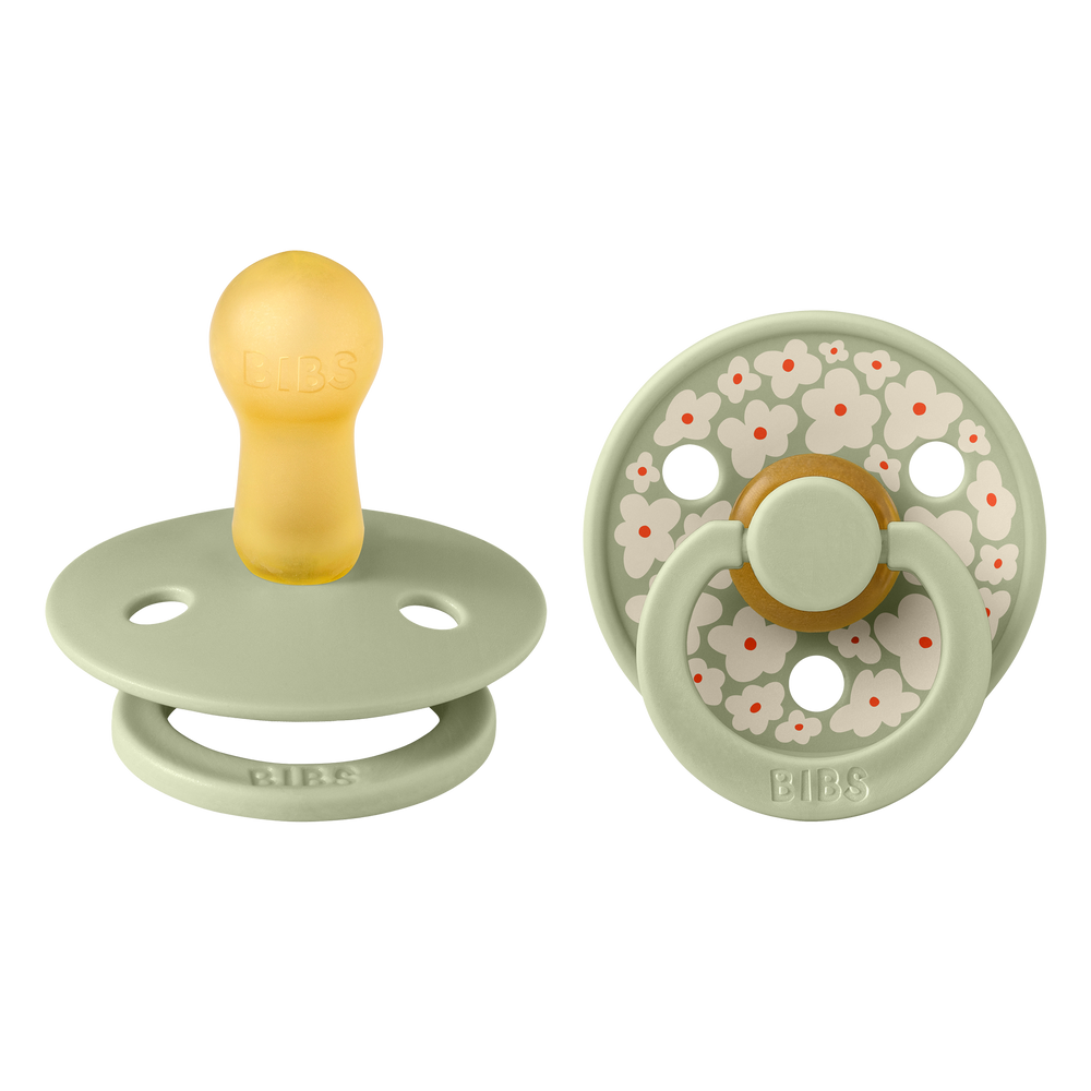 Bibs Pacifier Size 2 - Baby 6-18M (2pcs)-Studio Colour-Sage Mix