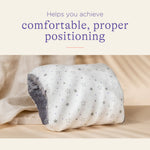 Lansinoh Breastfeeding Pillow