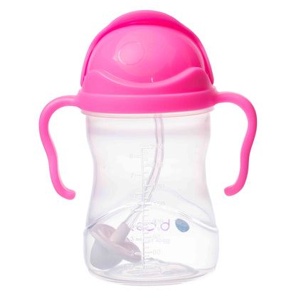 Sippy Cup-Pink Pomegranate