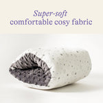 Lansinoh Breastfeeding Pillow