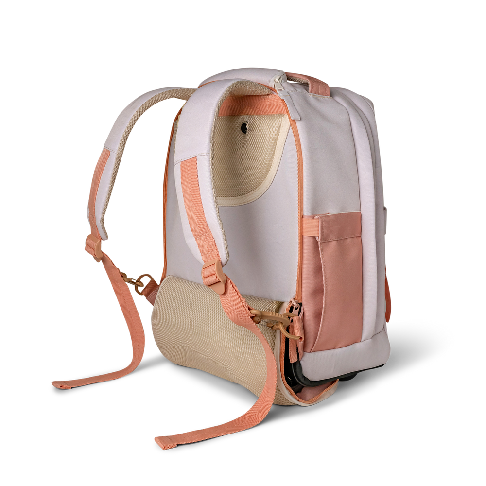 شنطة الترولي-سيترون 