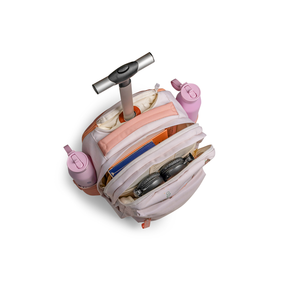 شنطة الترولي-سيترون 