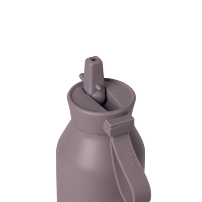 Citron - Stainless Steel Water Bottle - Purple- 750ml