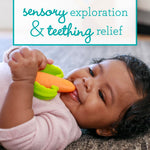 Infantino Good Bites Textured Carrot Teether