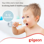 Pigeon Baby Training Toothbrush Lesson 2 - Orange
