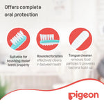 Pigeon Baby Training Toothbrush Lesson 3 - Green