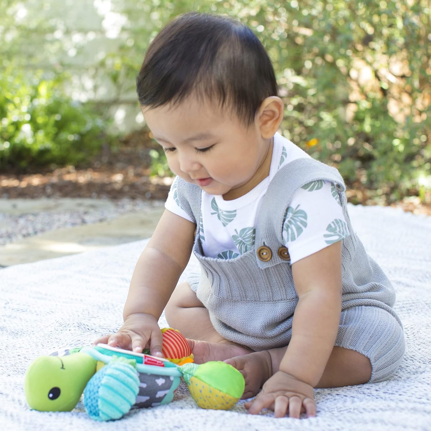 لعبة السلحفاة التفاعلية-إنفانتينو