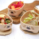 Prince Lionheart -Bentomal Boxes