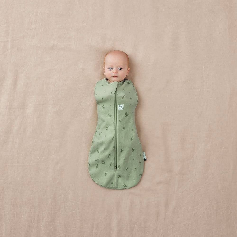 Ergo Pouch -Cocoon Swaddle Bag - TOG(1) -Willow