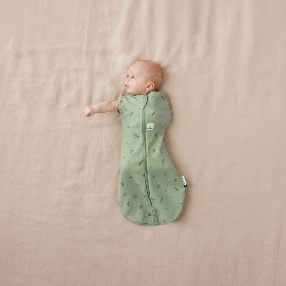 Ergo Pouch -Cocoon Swaddle Bag - TOG(1) -Willow