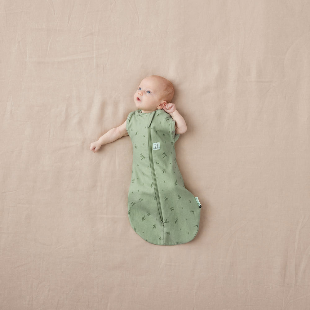 Ergo Pouch -Cocoon Swaddle Bag - TOG(1) -Willow