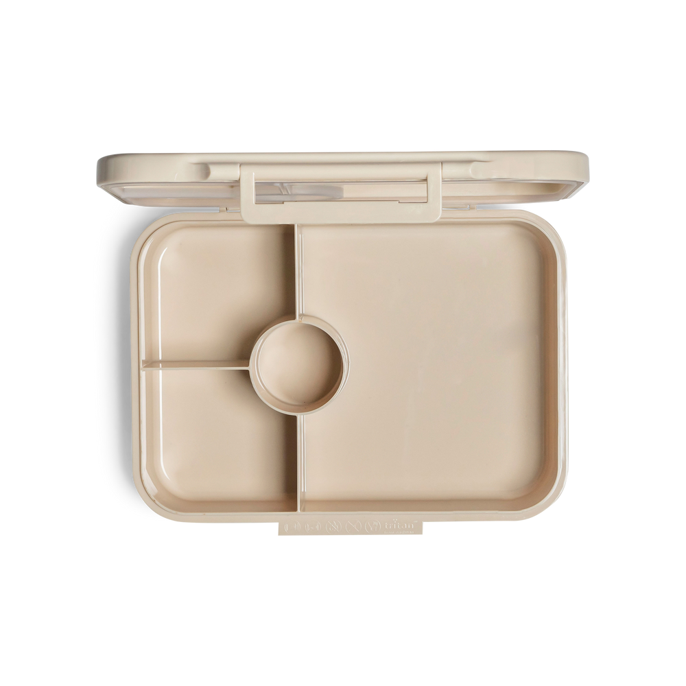 صندوق غداء-سيترون