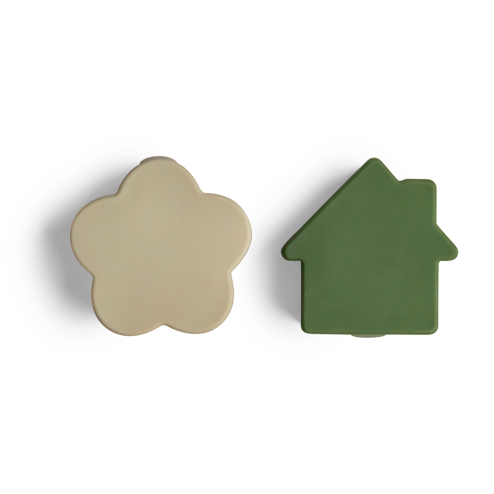 منظمات سيليكون لصندوق الغداء -سيترون 