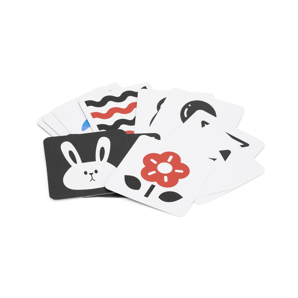 Grow With Me Box: Sensory Seekers (0-6M) - PolarB