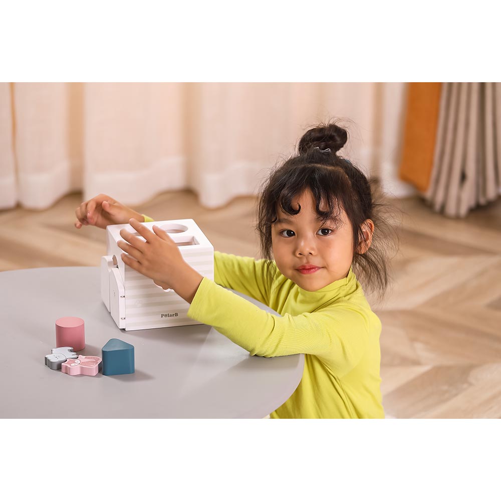 Shape Sorter with Music Blocks - PolarB