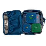 Citron Insulated Square Lunch Bag - Blue Dino