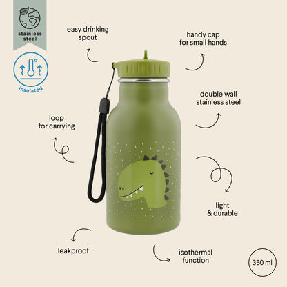 INSULATED Water Bottle (350ml) - Mr. Dino