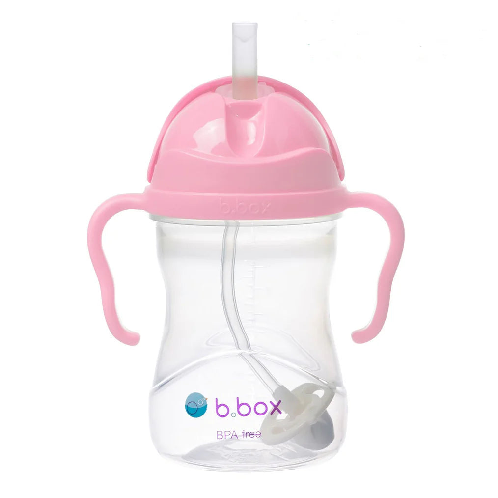 Bbox Sippy Cup-Cherry Blossom