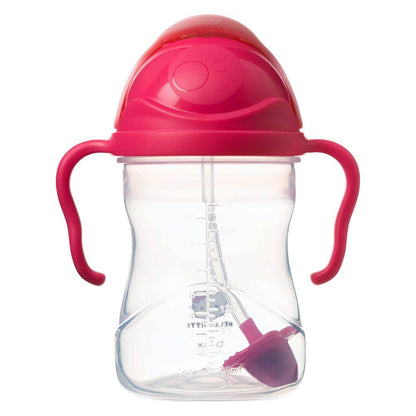 Sippy Cup-Hello Kitty-Pop star