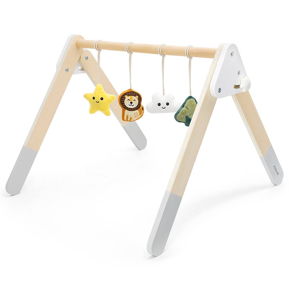 Baby Play Gym - PolarB